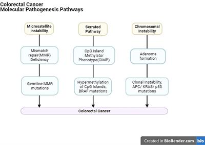 Innovations in colorectal cancer treatment: trifluridine and tipiracil with bevacizumab for improved outcomes – a review